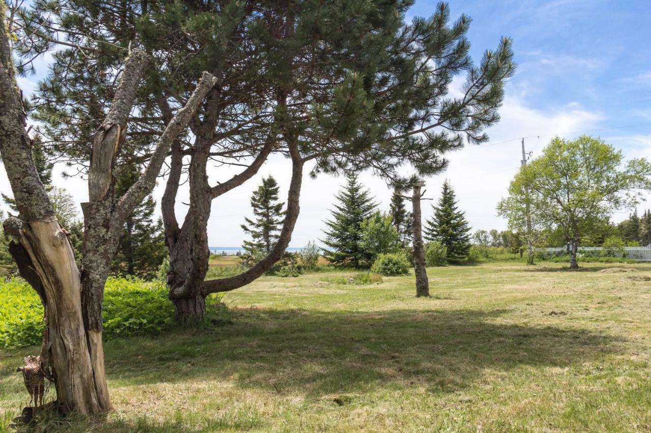 Fox Point Inn Parrsboro Exteriör bild
